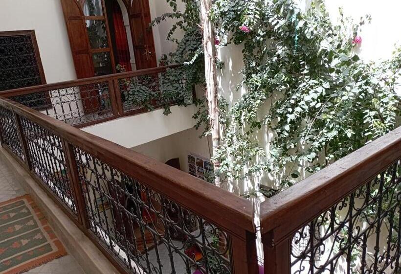 Riad White Flowers