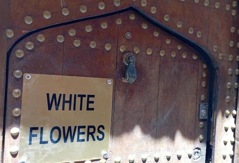 Riad White Flowers
