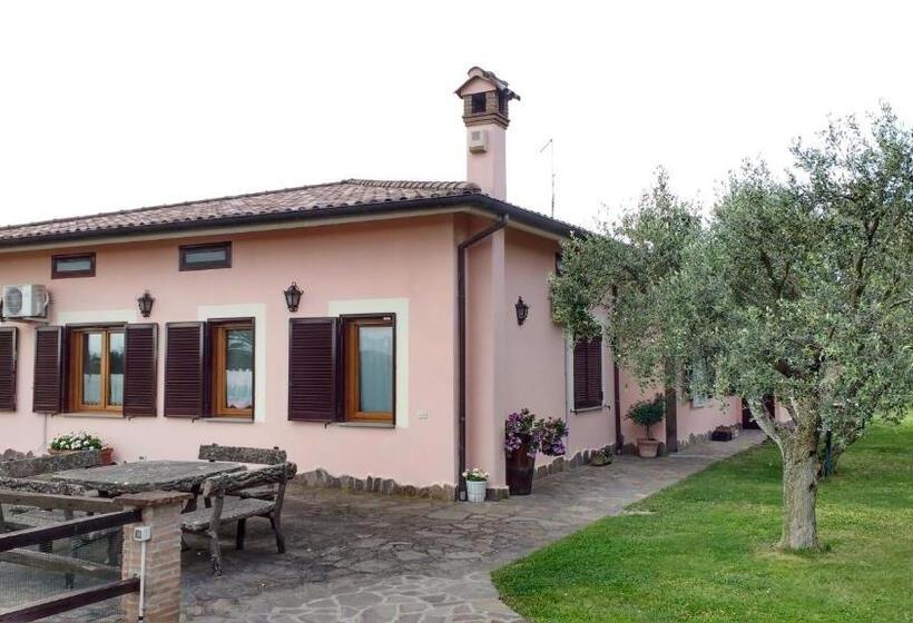 住宿加早餐  Bed And Bikers