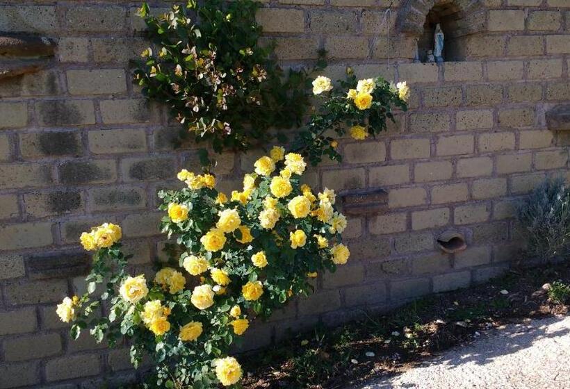 住宿加早餐  Bed And Bikers