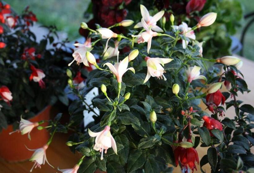 住宿加早餐  Bed And Bikers