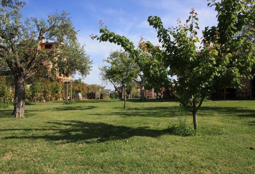 住宿加早餐  Bed And Bikers