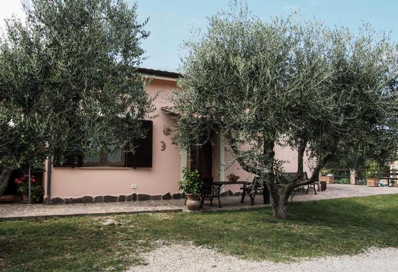 住宿加早餐  Bed And Bikers