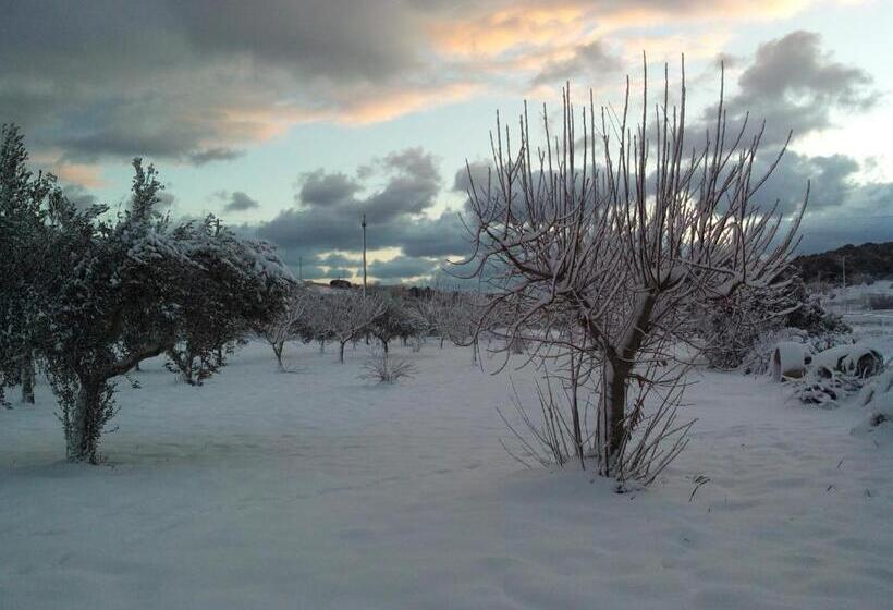 Bed and Breakfast Dimora Antonianna In Valle D Itria