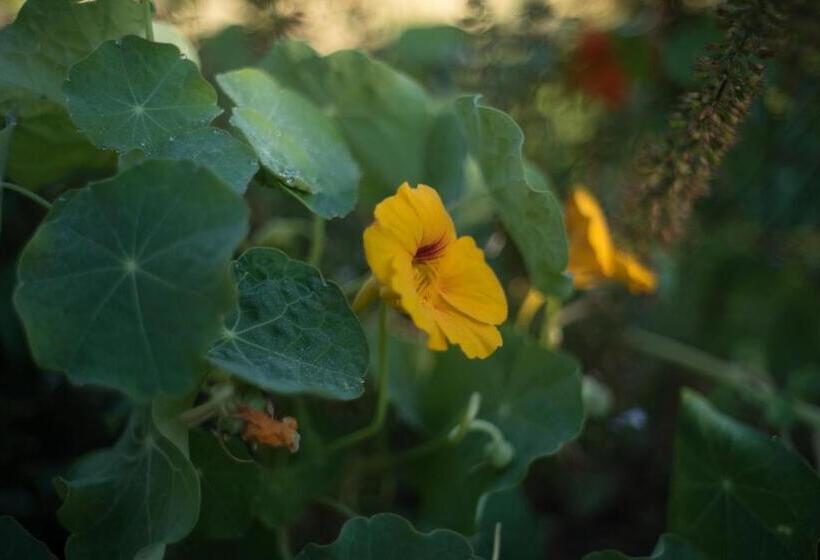 민박 The Whitehouse