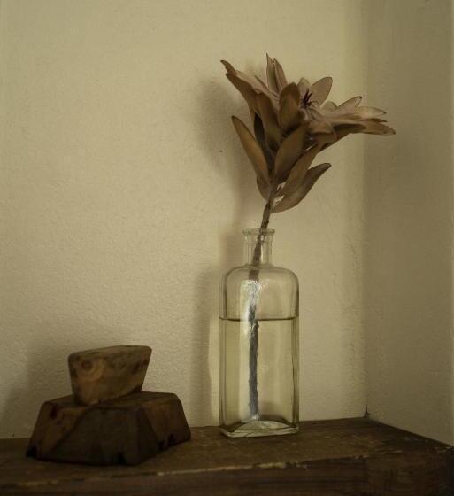 민박 The Whitehouse