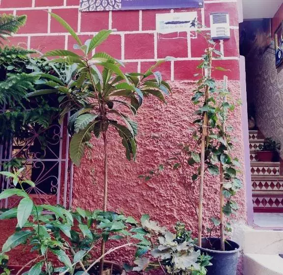 Riad Kasabah Senhaji