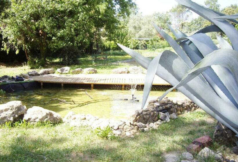 住宿加早餐  Bastide De L Ovalie