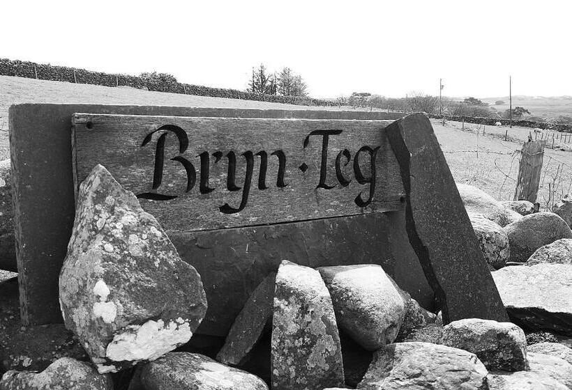 住宿加早餐 Bryn Teg Barn