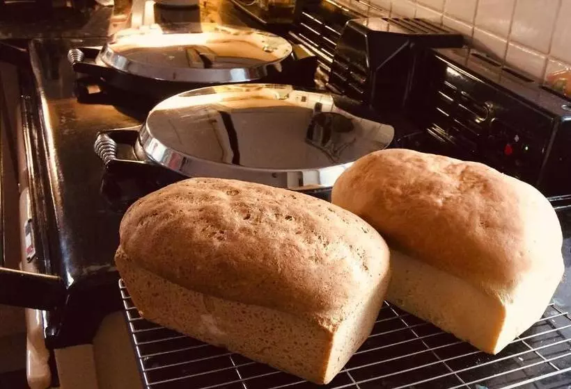 Aamiaismajoitus (B&B) Bryn Teg Barn