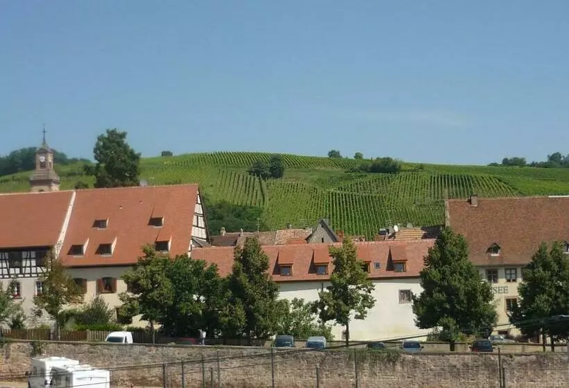 تختخواب و صبحانه Chambres D Hotes Du Vignoble