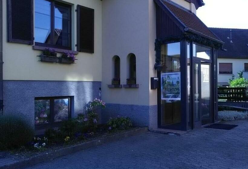 ベッドアンドブレックファースト Chambres D Hotes Du Vignoble