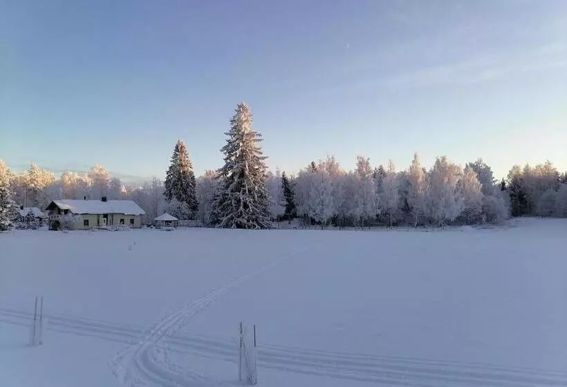 ベッドアンドブレックファースト Hostel Mansikka