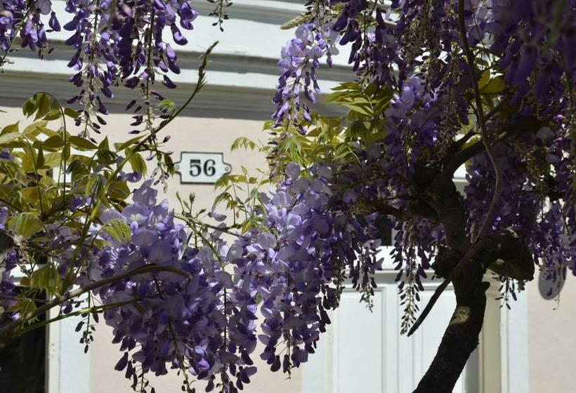 تختخواب و صبحانه Wisteria