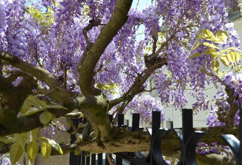 تختخواب و صبحانه Wisteria