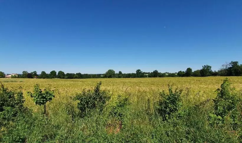 Aamiaismajoitus (B&B) Wisteria House