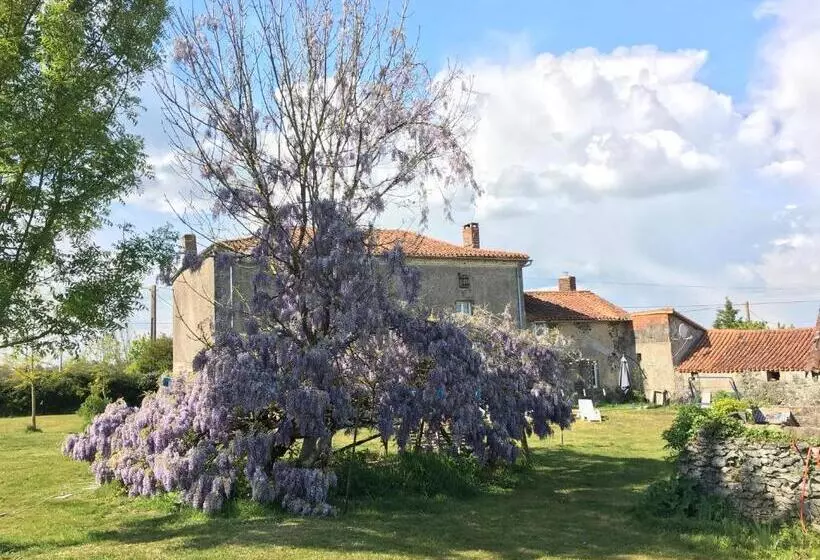 Aamiaismajoitus (B&B) Wisteria House