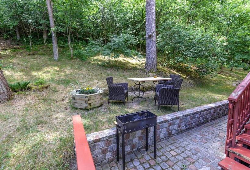 پانسیون Apartamentai Geliu Vila