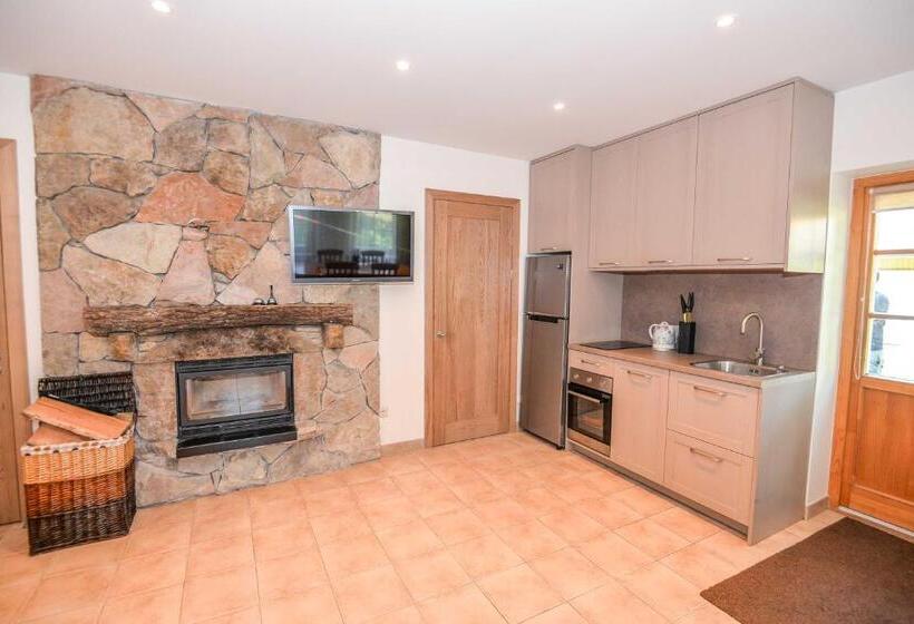 پانسیون Apartamentai Geliu Vila