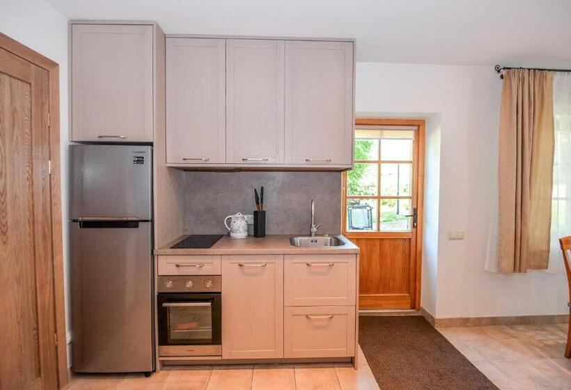 پانسیون Apartamentai Geliu Vila