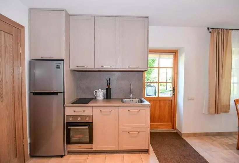 پانسیون Apartamentai Geliu Vila