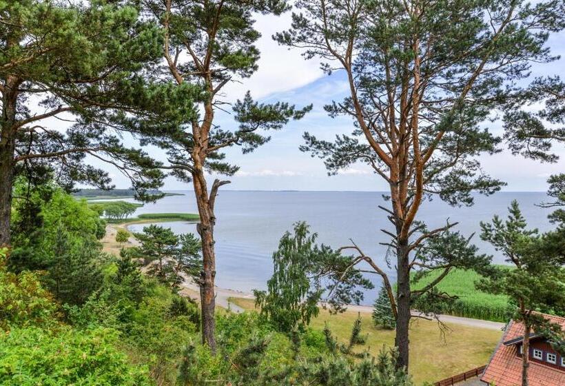 پانسیون Apartamentai Geliu Vila