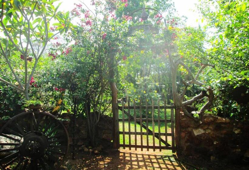 پانسیون Camping Nomadas