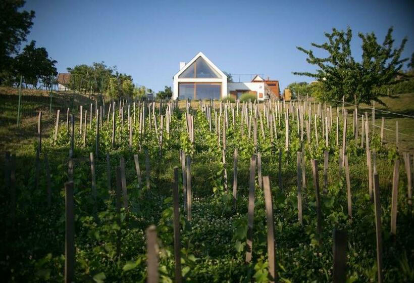 Пансион ég & Föld Borvendégház