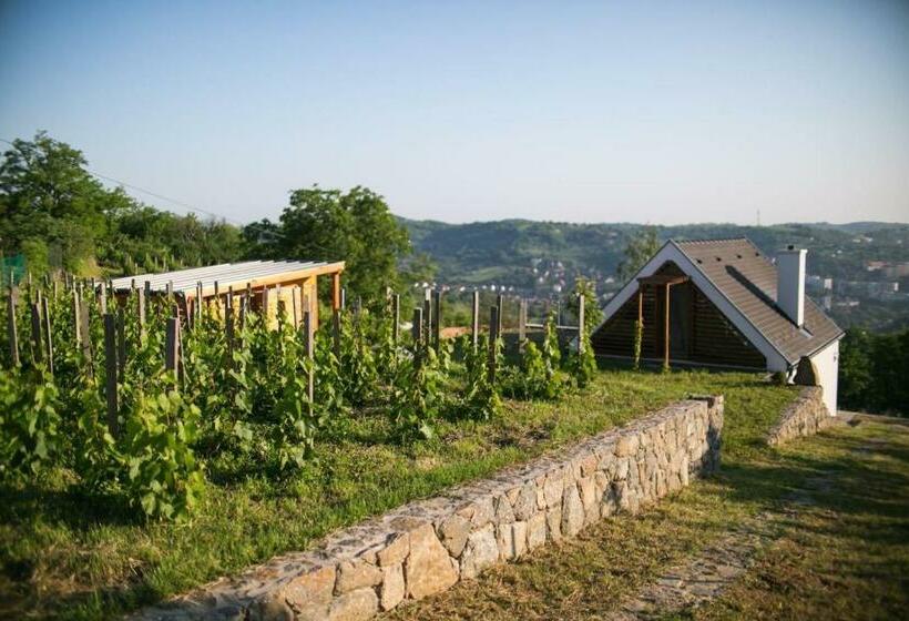 Пансион ég & Föld Borvendégház