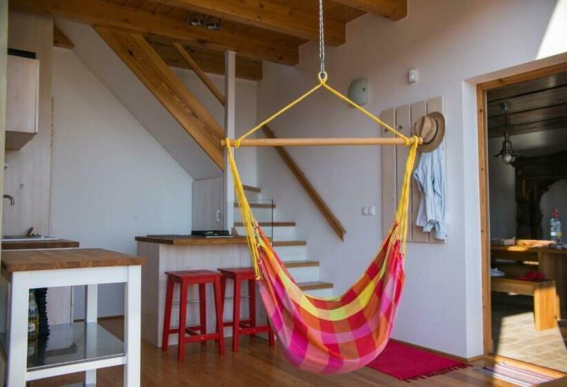 Пансион ég & Föld Borvendégház