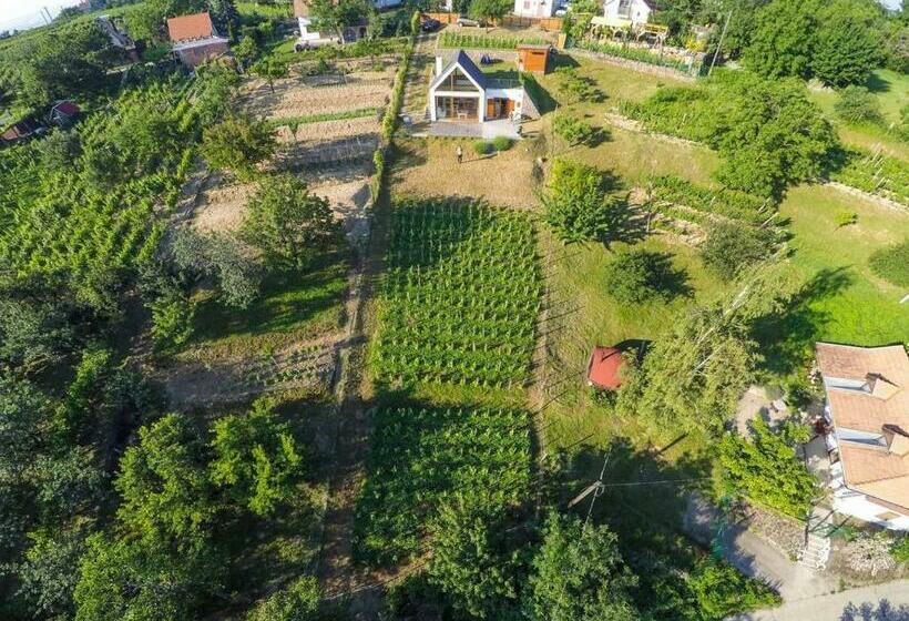 Пансион ég & Föld Borvendégház