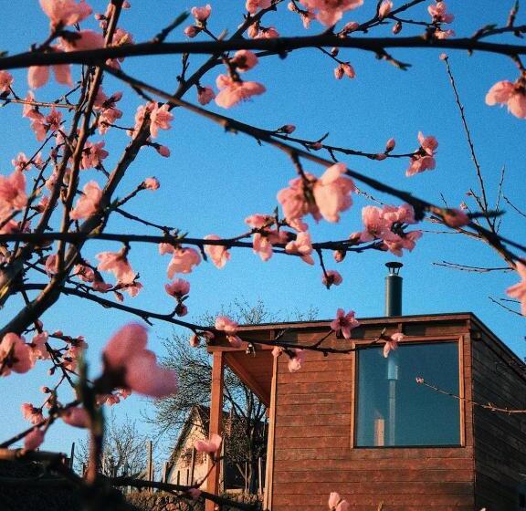 Пансион ég & Föld Borvendégház