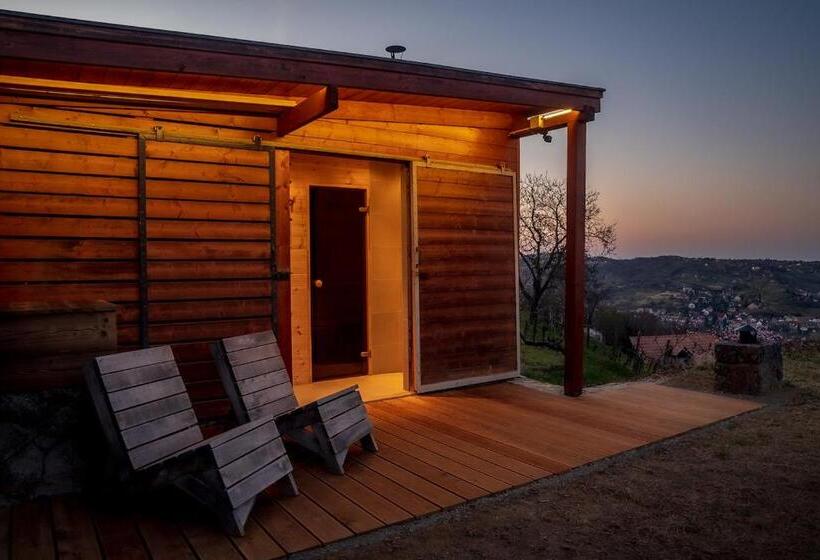 Пансион ég & Föld Borvendégház