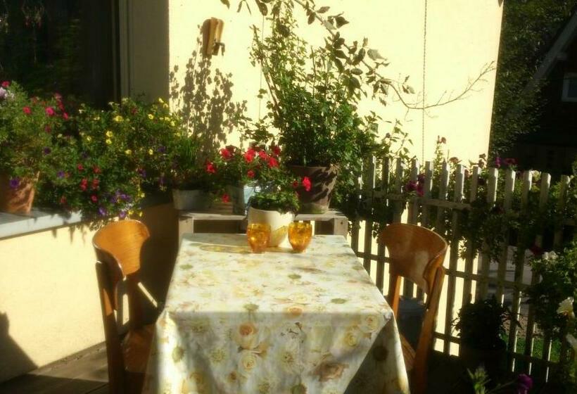 ペンション Haus Silbertal