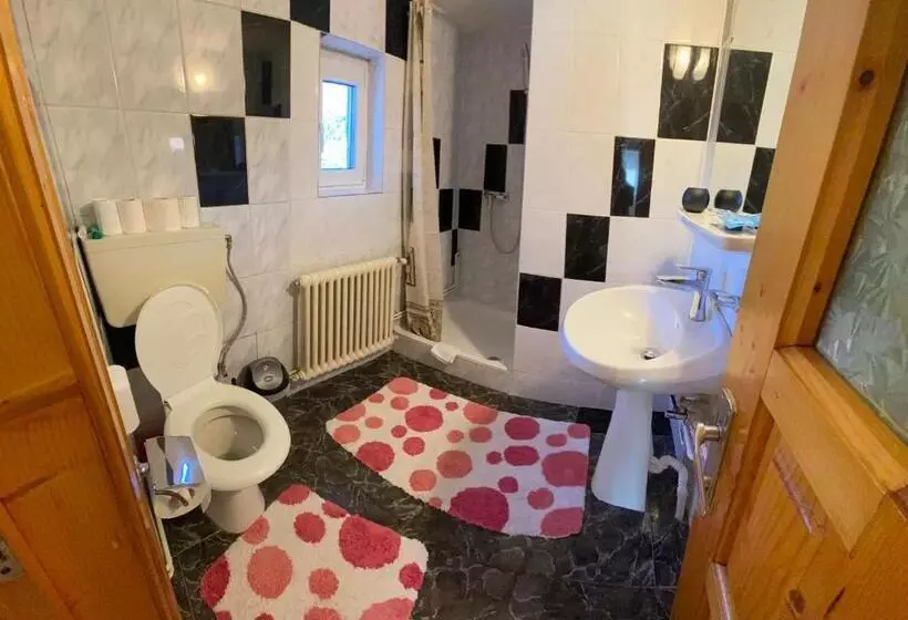 Pensiunea Casa Bianca   Bucovina