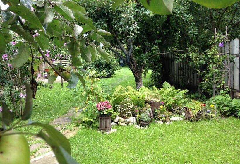 Pensiunea Casa Bianca   Bucovina