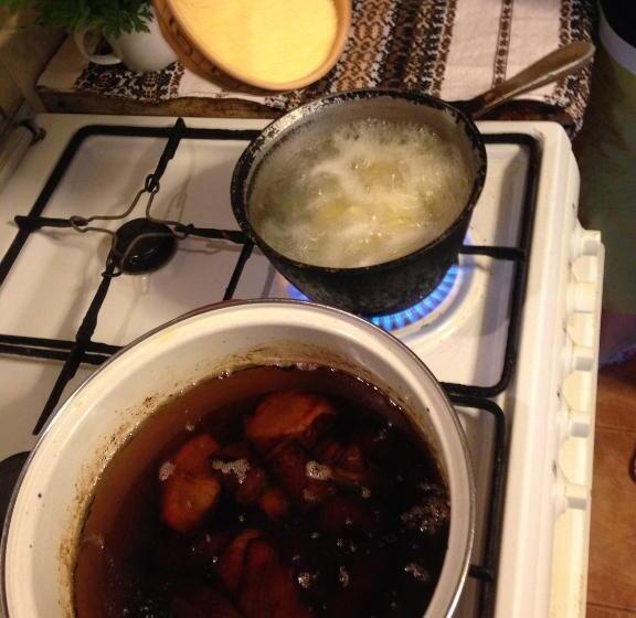 Pensiunea Casa Bianca   Bucovina