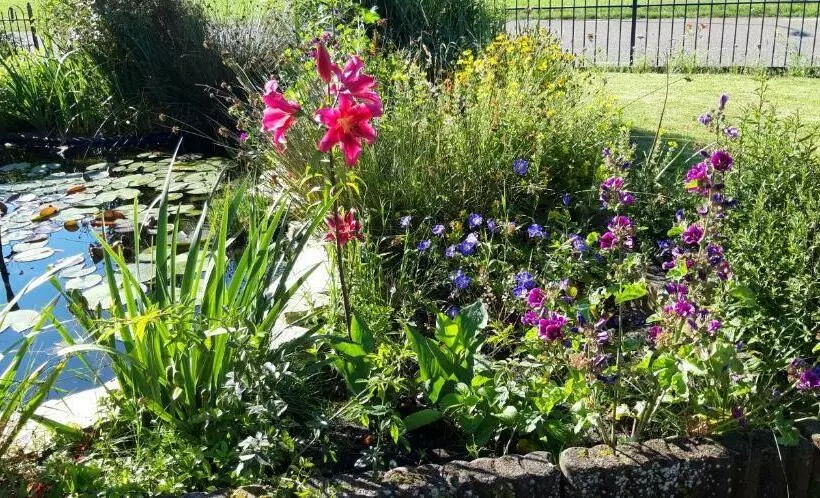 B&b Veluwemeerpension