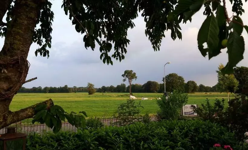 B&b Veluwemeerpension