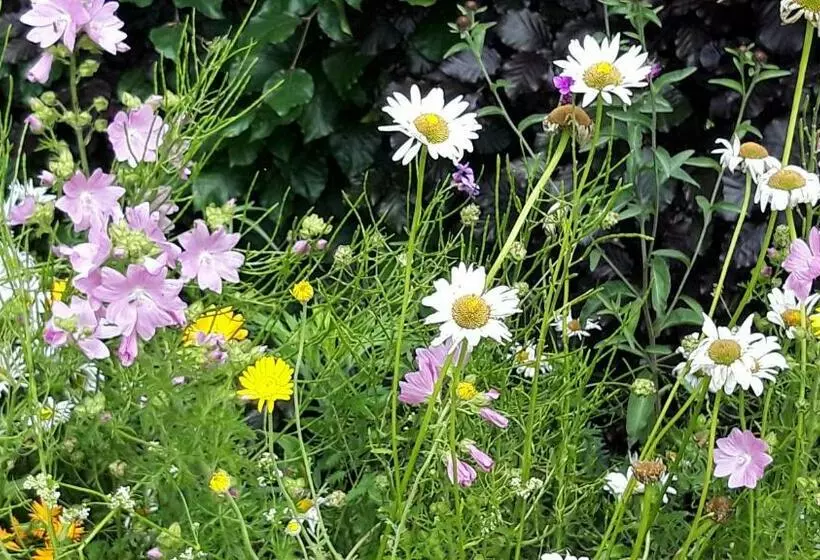 B&b Veluwemeerpension