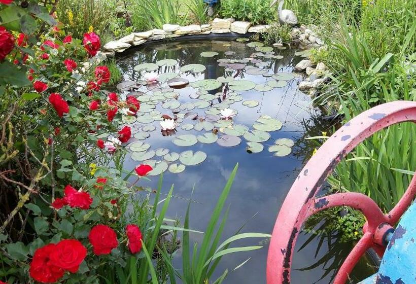 B&b Veluwemeerpension