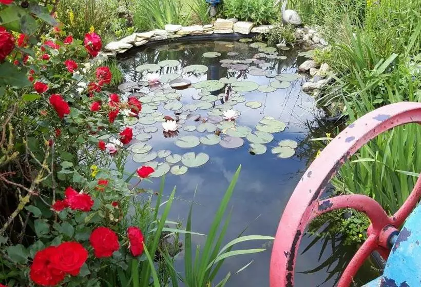 B&b Veluwemeerpension