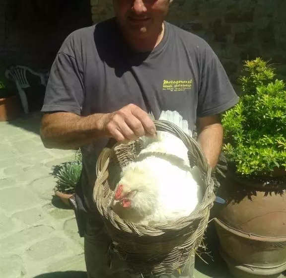 Hotelli Agriturismo Stazione Di Monta