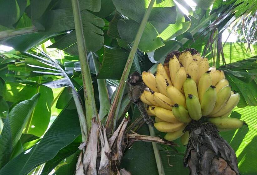 פנסיון Chalés Savi