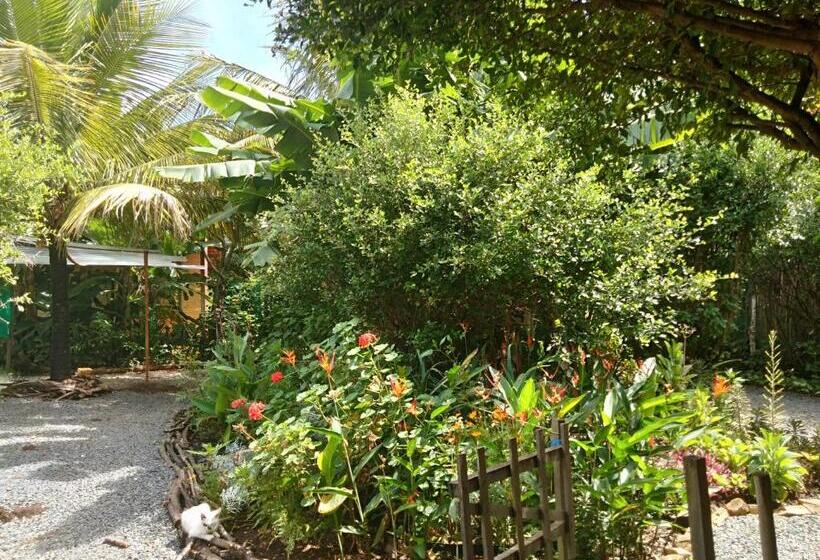 פנסיון Chalés Savi