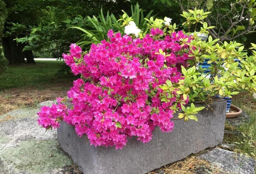 ペンション Domaine D Aromm