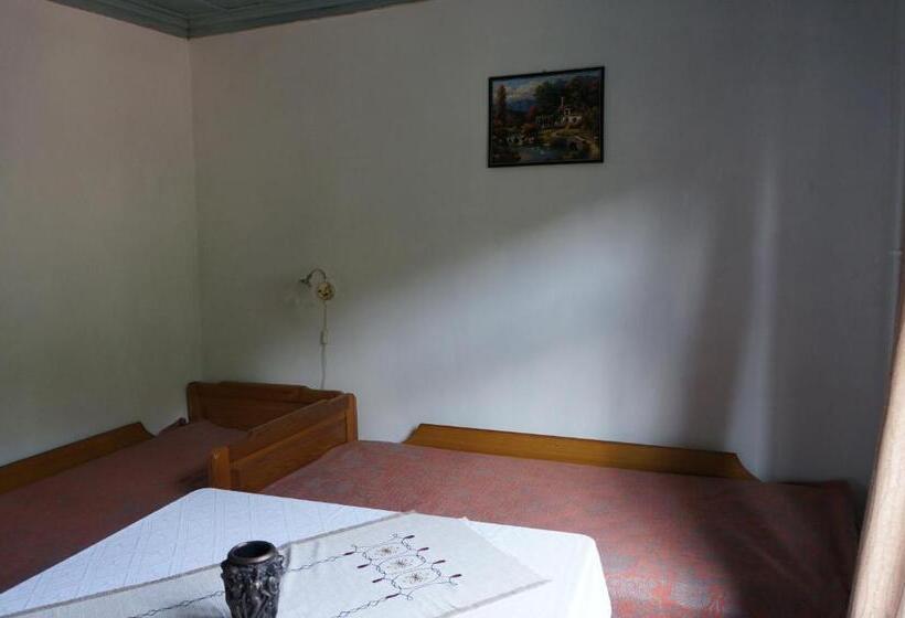 بنسيون Guest House Pepeliana