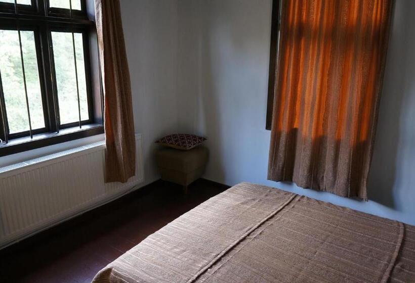 بنسيون Guest House Pepeliana