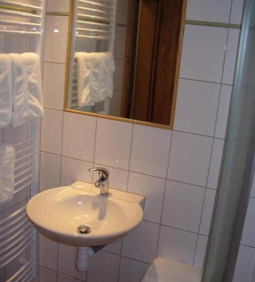 펜션 Penzión V Starom Mlyne