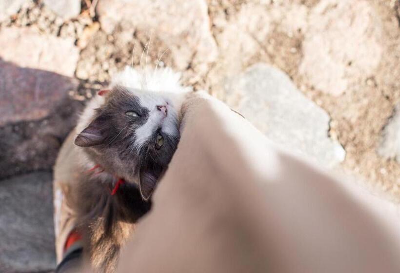 پانسیون Suviste Guesthouse